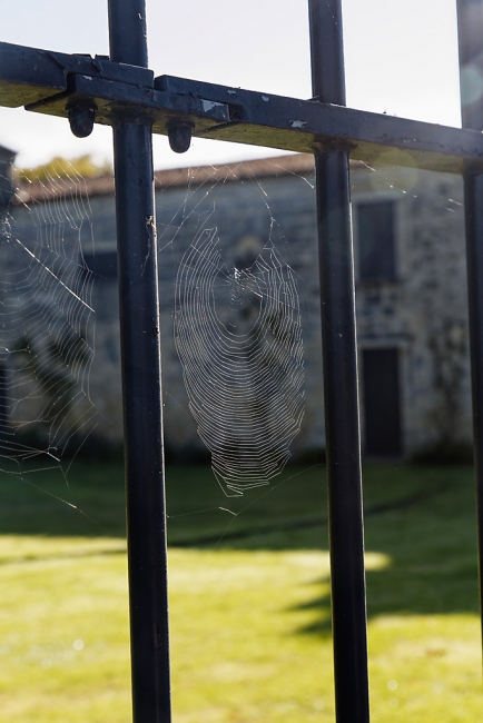 Balade avec Monique (Médoc et Blaye)-006